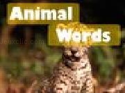 Play Animal words now