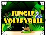 Play Jungle Volleyball 2Player now