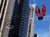 Jugar Spiderman Photo Catch 2