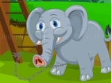 Play Baby Tusker Survival now