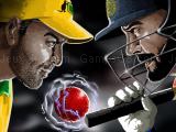 Play Cricket world cup now
