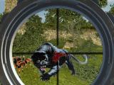 Play Wild hunt: jungle sniper shooting now