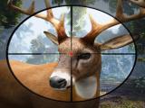 Play Sniper stag hunter now