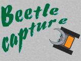 Play Beetle capture now