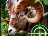 Play Crazy goat hunter 2020 now