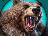 Play Wild bear hunting game now