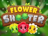 Play Flower shooter now