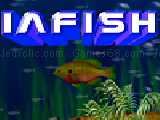 Play Iafish now