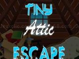 Tiny attic escape