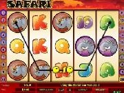 Play Video slot safari now