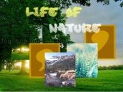 Play Life of nature now