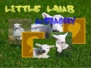 Play Little lamb memory now