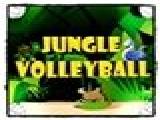 Play Jungle volleyball now