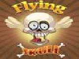 Play Flying skull now