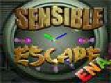 Play Sensible escape now