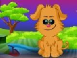 Play My pets s makeover now