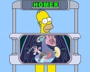 Swf homer corps