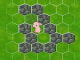 Play Block the pig now