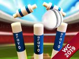 Play Cricket world cup game 2019 mini ground cricke now