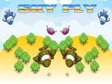 Play Sky fly now