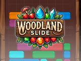 Jugar Woodland slide now