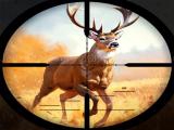 Jugar Wild hunting clash now