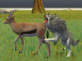 Jugar Wolf life simulator