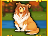 Jugar Bernese mountain dog escape now