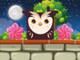 Jugar Owl block now