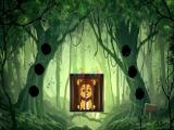 Jugar Rescue the lion cub now