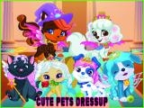 Jugar Cute pets summer dress up now