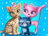 Jugar Cat hair salon now