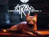 Jugar Stray now