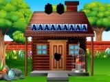 Jugar Rescue the pirate parrot now