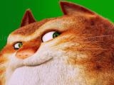 Jugar The amazing maurice card match now