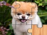 Jugar Cute dogs jigsaw puzlle