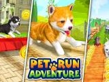 Play Pet run adventure puppy run