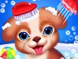 Jugar Princess pup rescue now