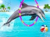 Jugar Dolphin water stunts show