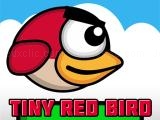 Jugar Tiny red bird