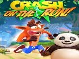 Jugar Crash bandicoot and little panda: on the run! 2