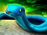 Jugar Snake puzzle 3d