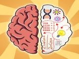 Jugar Brain hack