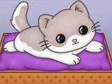 Jugar Pets slide