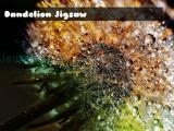 Jugar Dandelion jigsaw