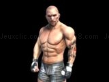 Jugar Fight arena online now