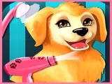 Jugar Puppy now