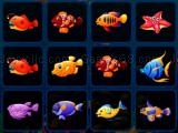Jugar Fish cards match now