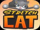 Jugar Stretch cat 3d now