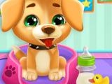 Jugar Animals day care now